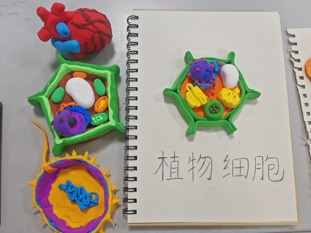 QQ图片20241221204456