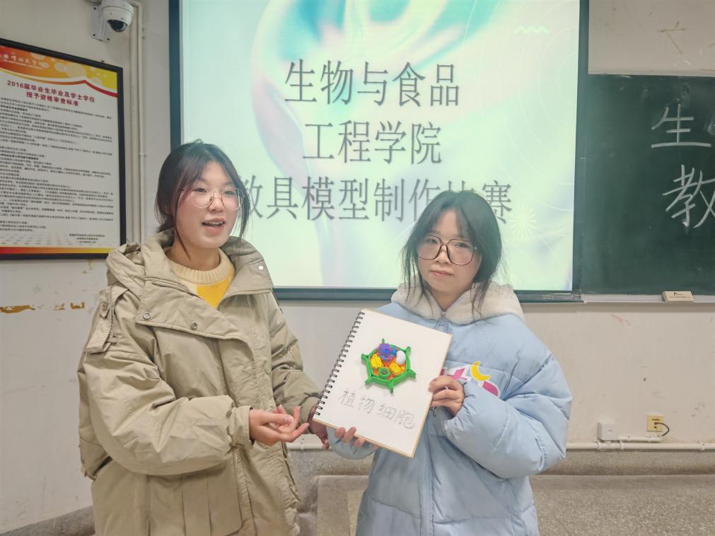 QQ图片20241221204447