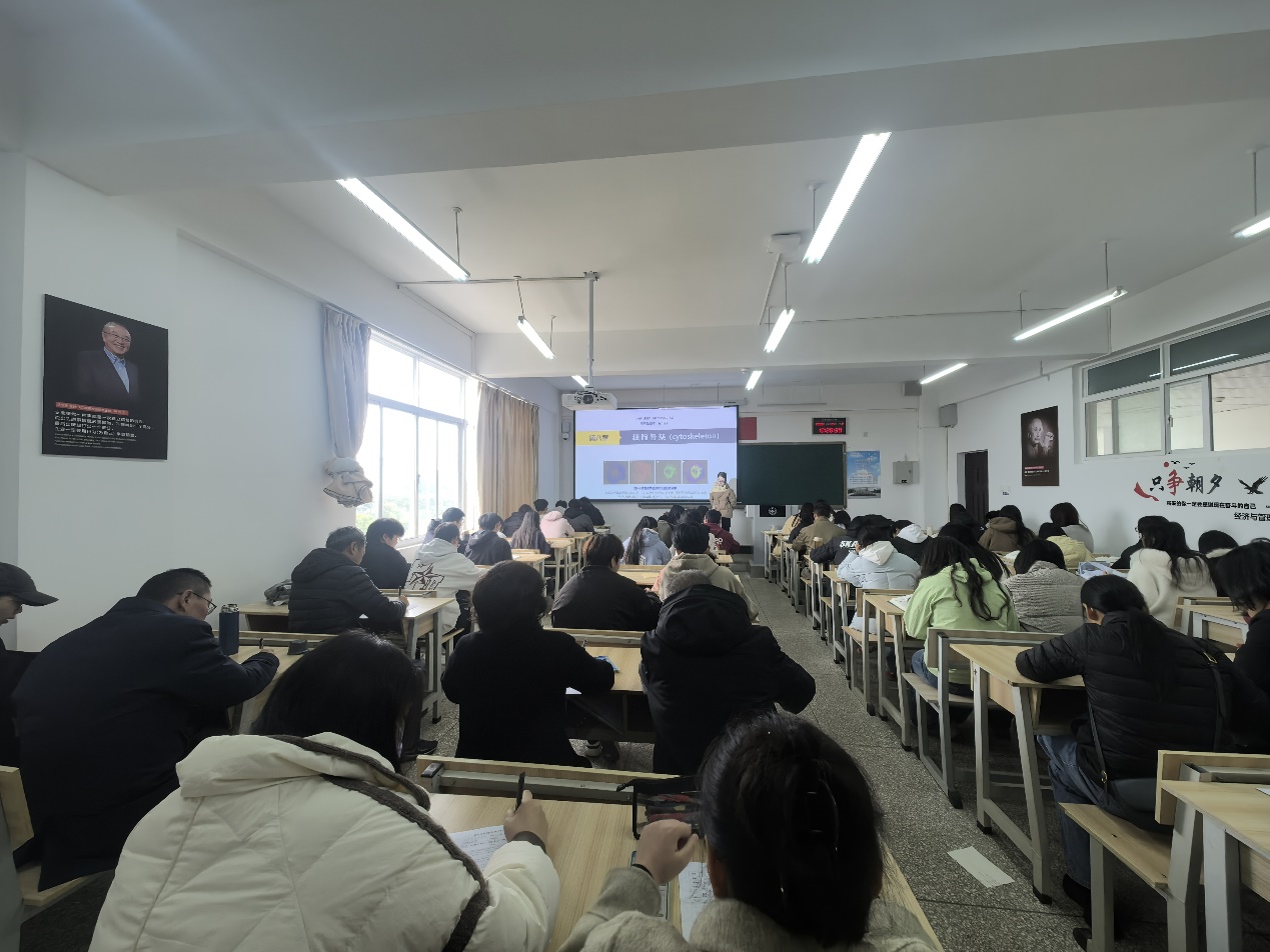 图片 1